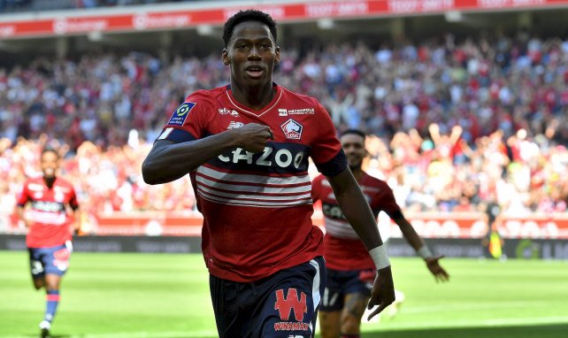 LOSC : ça ne se bouscule pas pour Jonathan David ! 