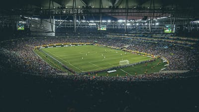 Estadio Jornalista Mário Filho (Maracanã)